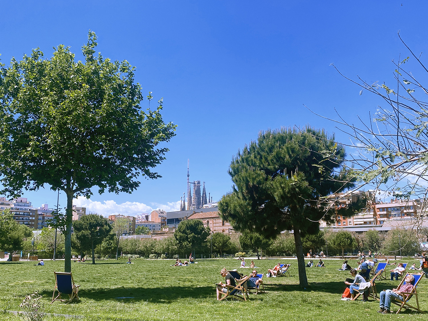 Discover Barcelona's Summer Cycling Routes: Embrace the Beauty of the City